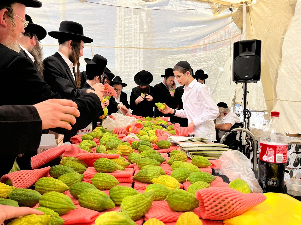 שוק ארבעת המינים בירושלים. צילום: עיריית ירושלים