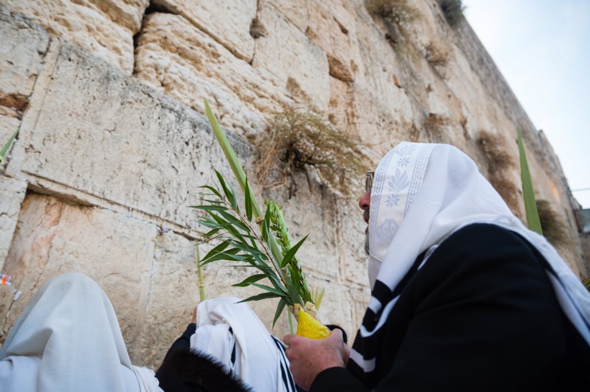 חול המועד סוכות בכותל המערבי. צילום: הקרן למורשת הכותל המערבי