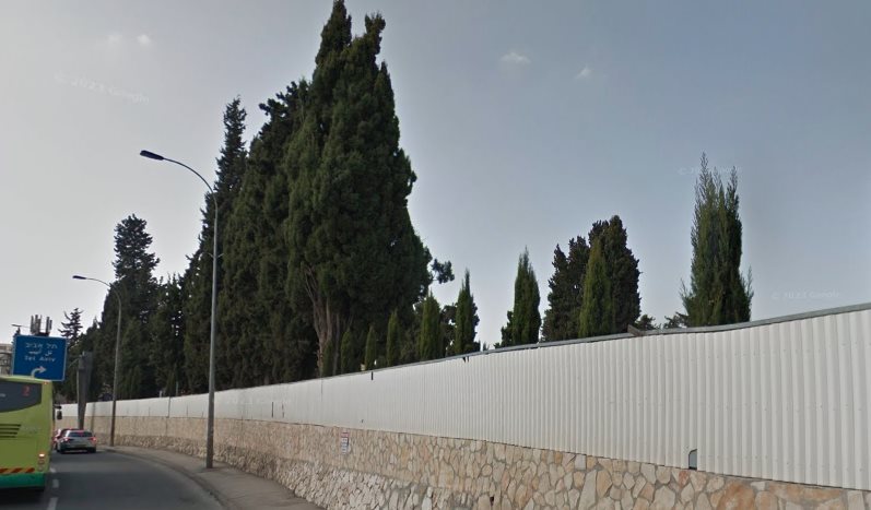 העצים בבית העלמין סנהדריה. צילום: Google Street View