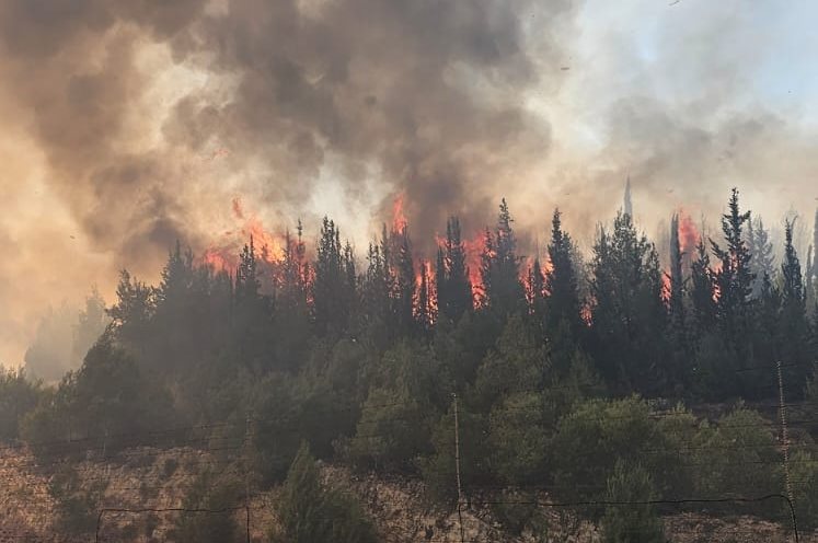 השריפה בהרי ירושלים. צילום: דוברות כבאות והצלה