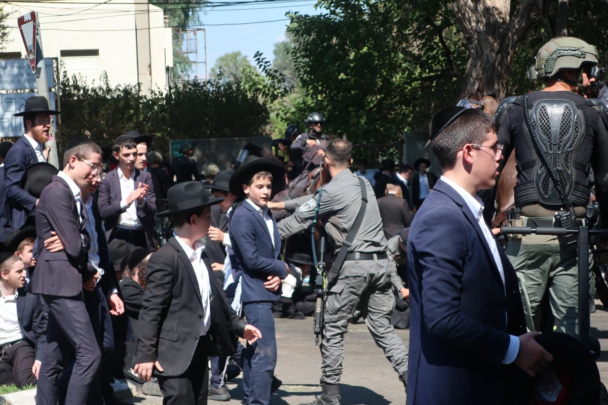 אילוסטרציה שאטרסטוק