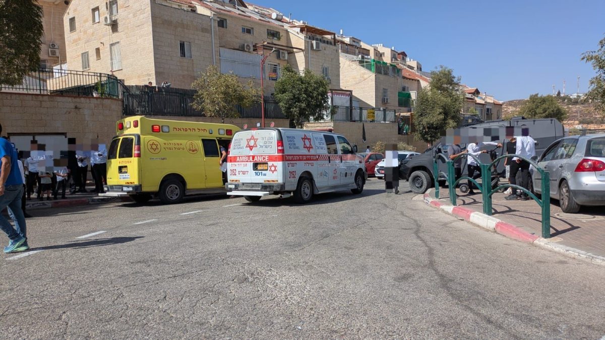 זירת השריפה בתל ציון | מד&quot;א