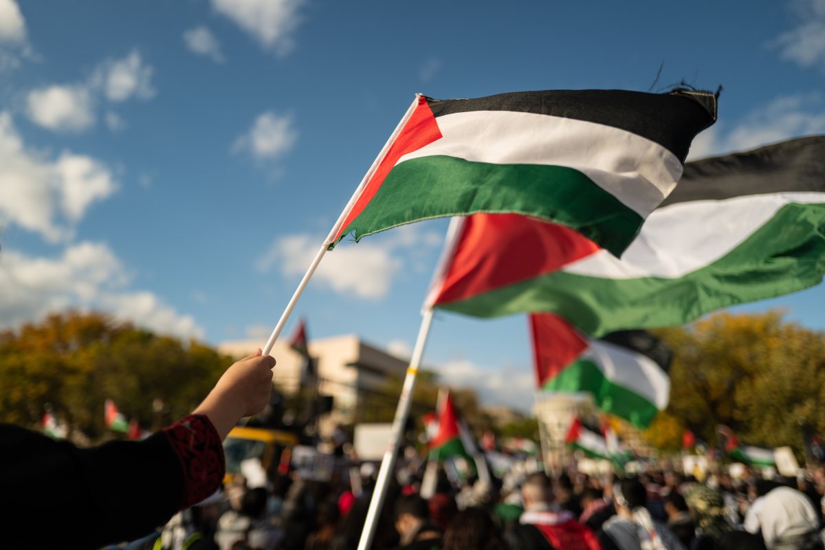 אילוסטרציה שאטרסטוק