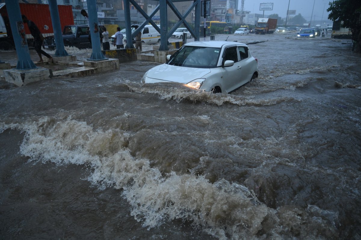 אילוסטרציה shutterstock