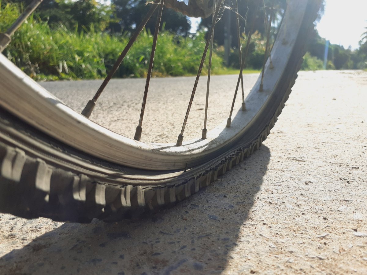 אילוסטרציה shutterstock