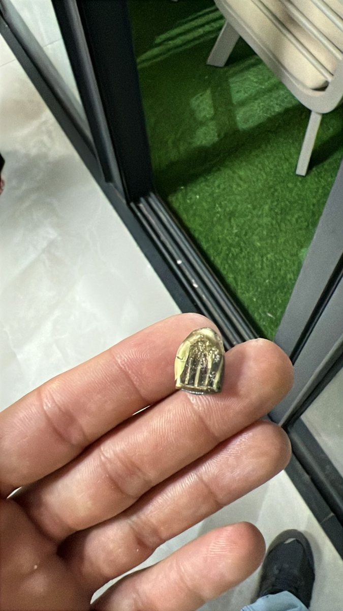 הירי הקודם | צילום: אריה קינג בפייסבוק