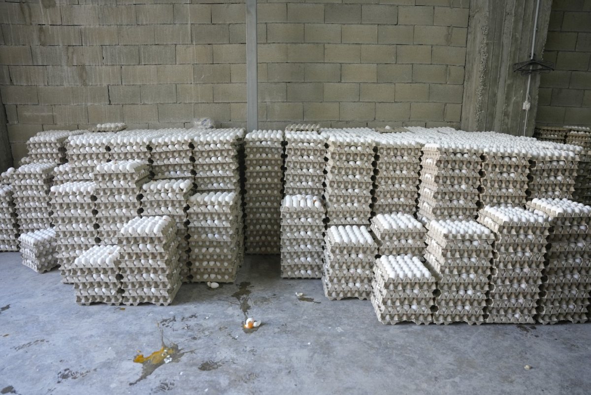 חלק מהשלל המזוייף | דוברות המשטרה