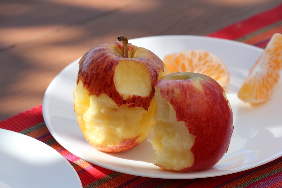 אילוסטרציה שאטרסטוק