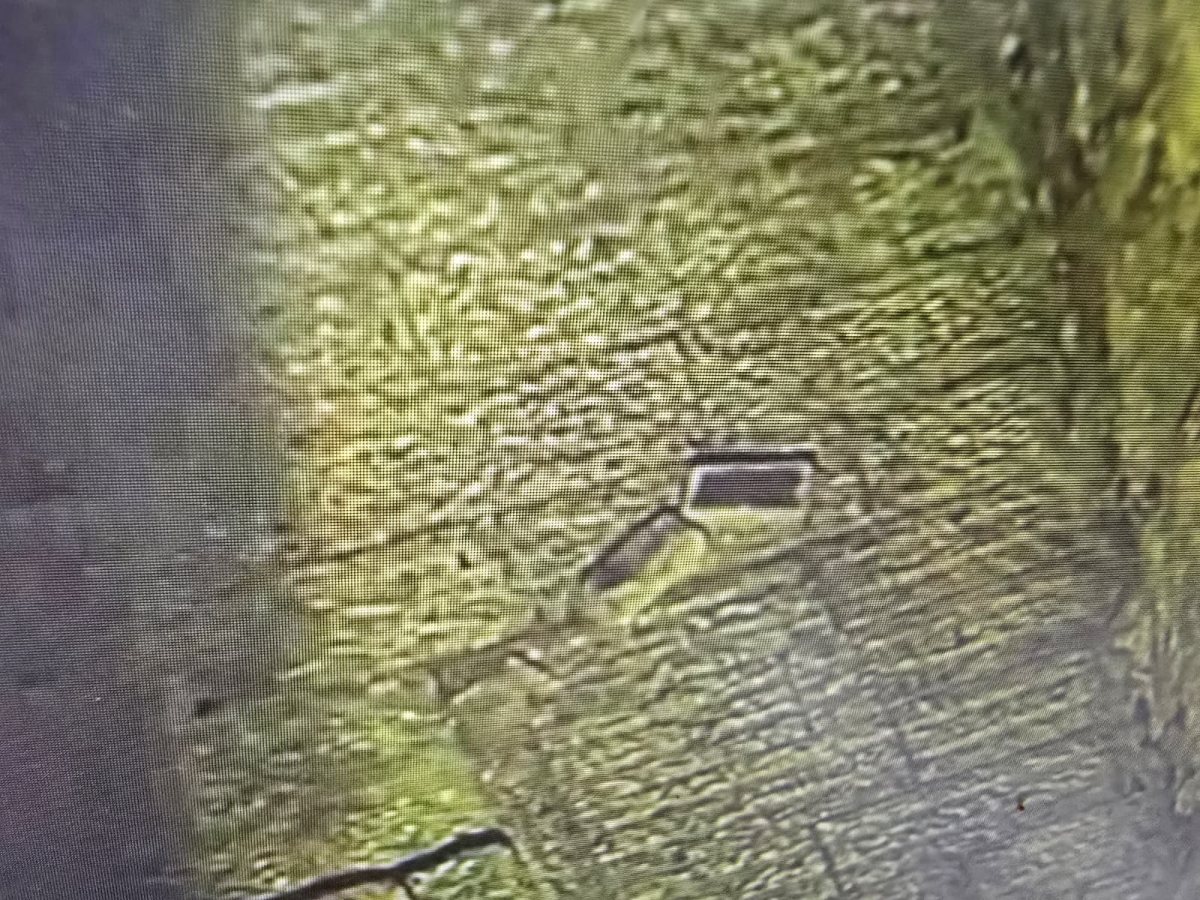 הבלוקים שיודו בעיר העתיקה | דוברות המשורה