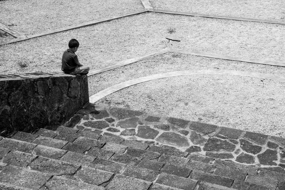 אילוסטרציה שאטרסטוק