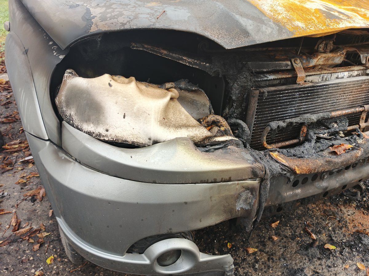 אילוסטרציה שאטרסטוק