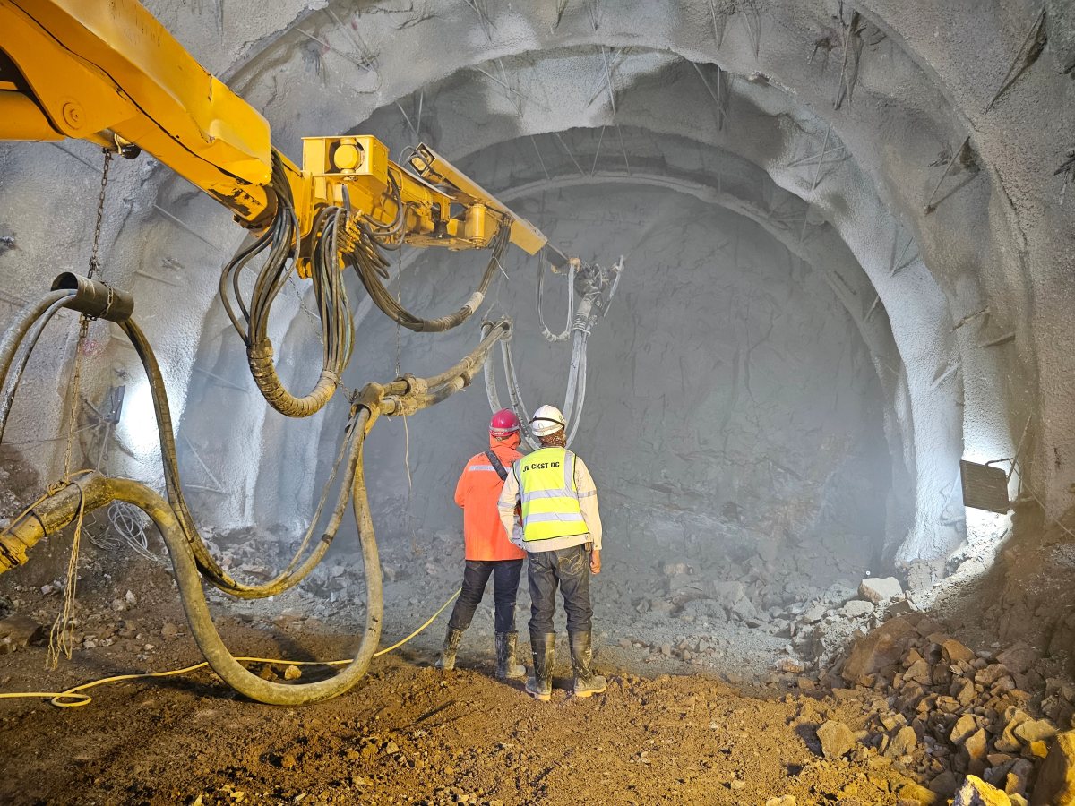 אילסוטרציה שאטרסטוק