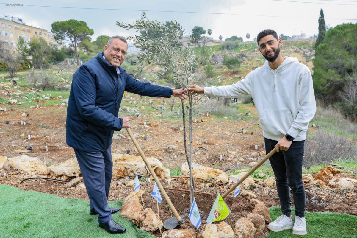 הנטיעה | ארנון בוסאני