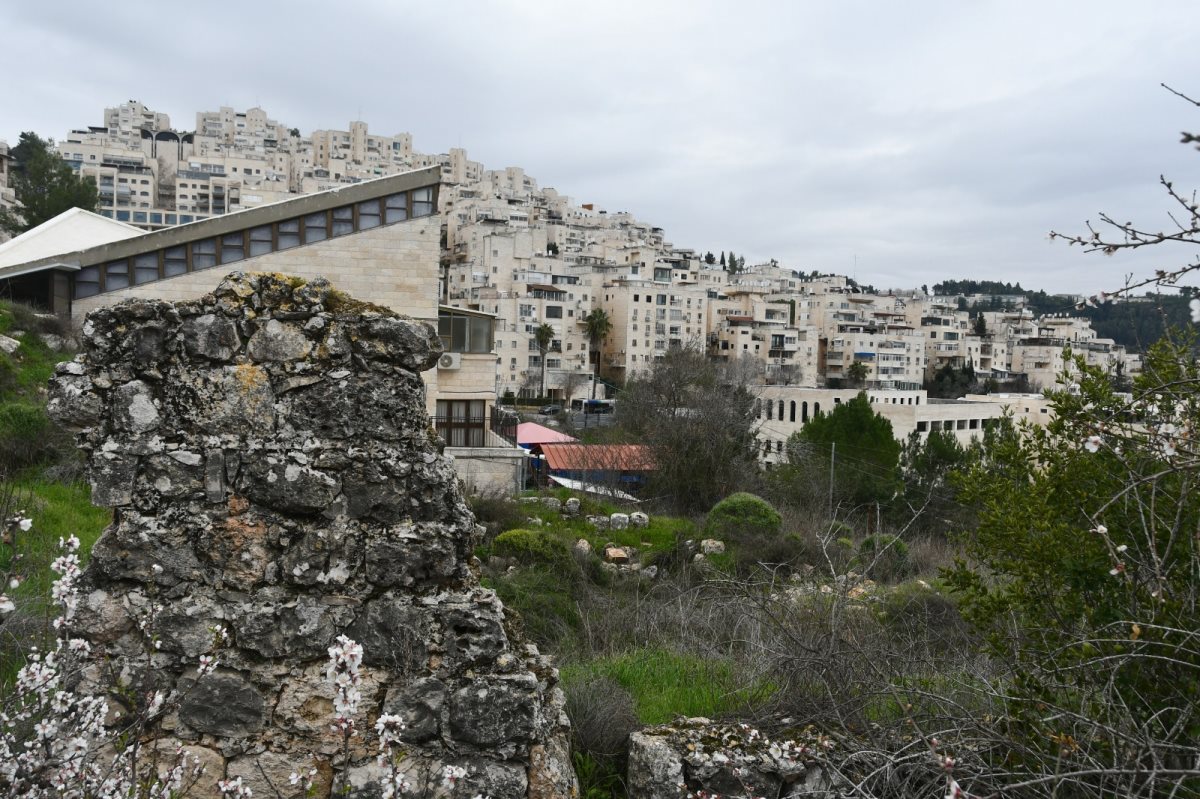 היער בפאתי שכונת הר נוף. באדיבות המצלם