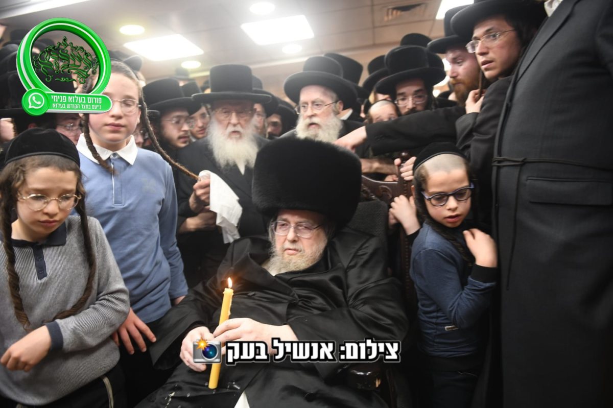 צילום אנשיל בעק א.מ.ש.