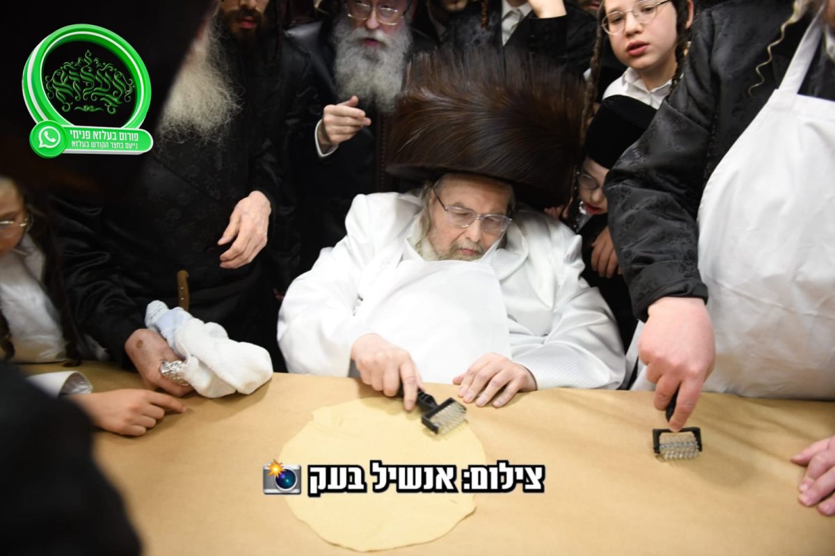צילום אנשיל בעק א.מ.ש.