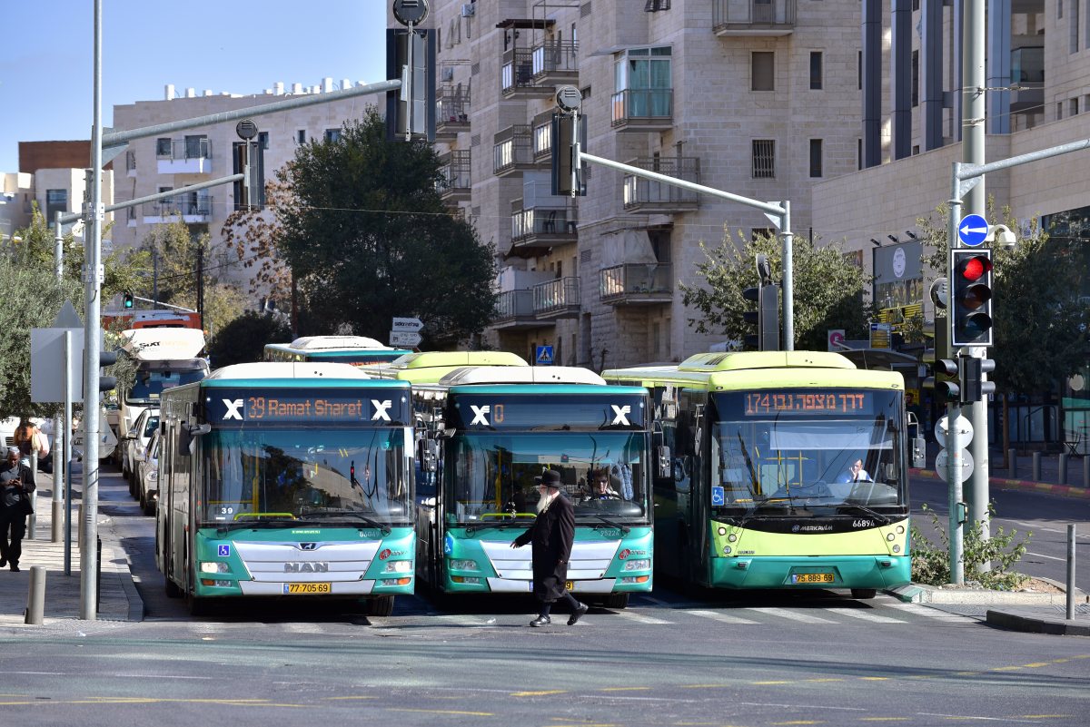 קרדיט: defotoberg / Shutterstock.com קרדיט: defotoberg / Shutterstock.com