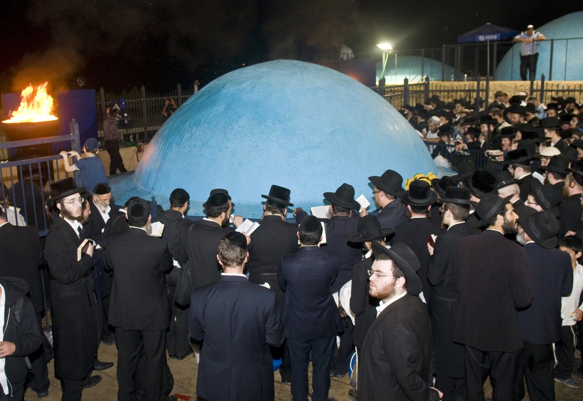 קרדיט עריכה: קובי דגן / Shutterstock.com קרדיט עריכה: קובי דגן / Shutterstock.com