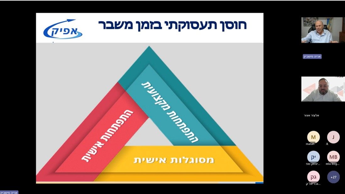 ההרצאה במרחב המקוון