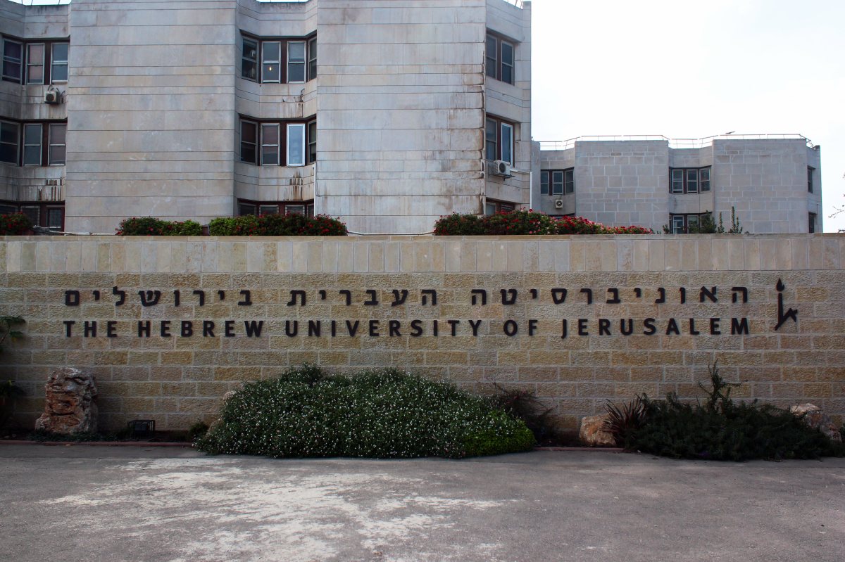 קרדיט עריכה: aquatarkus / Shutterstock.com קרדיט עריכה: aquatarkus / Shutterstock.com