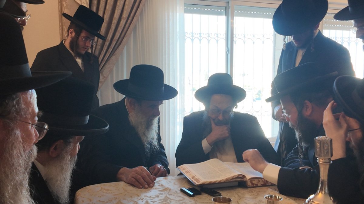 צילום: א.ק.