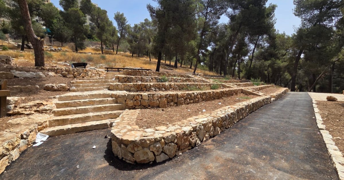 יער הר נוף המשודרג | קק"ל / איילת עקיבא יער הר נוף המשודרג | קק"ל / איילת עקיבא