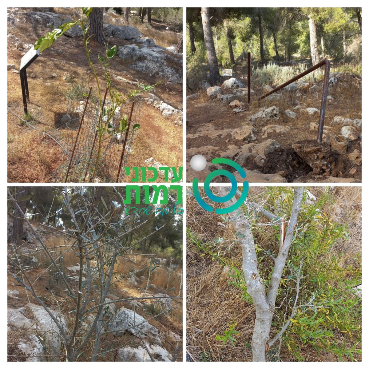 הוונדליזם בפ
