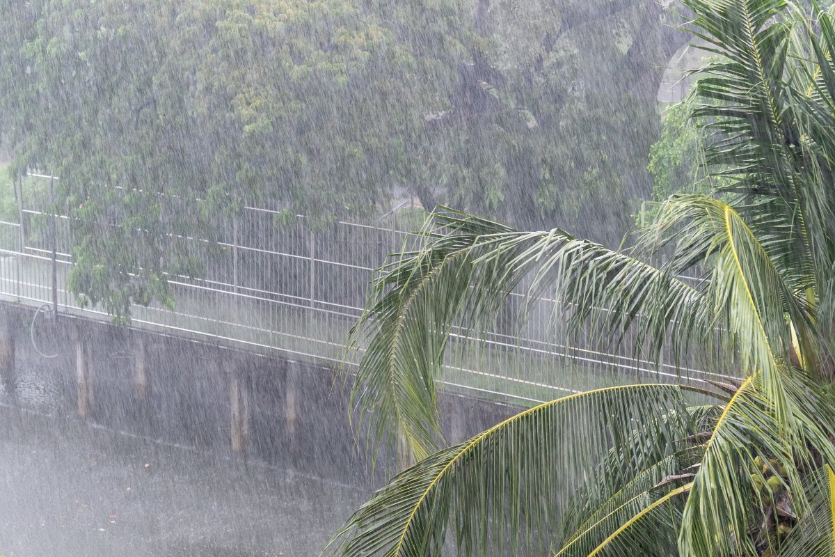 אילוסטרציה shutterstock