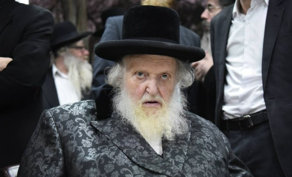 הגאון רבי משה שטרנבוך. צילום: שוקי לרר
