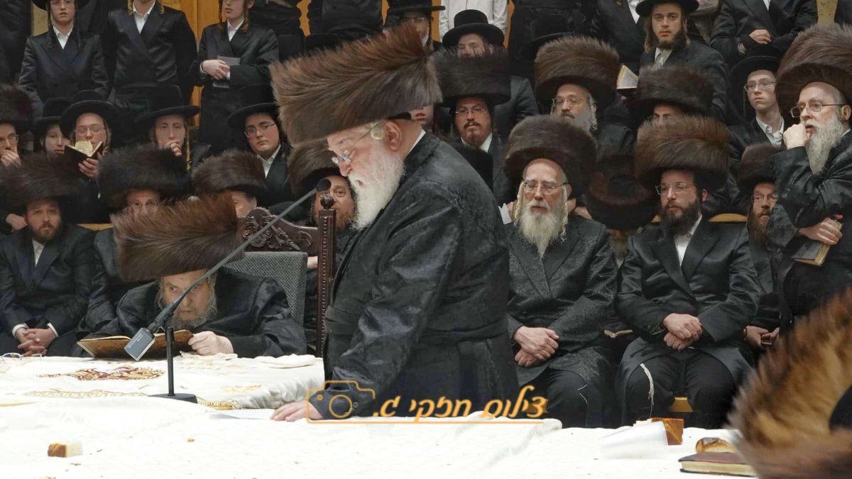ההכרזה בחצר הקודש בעלזא