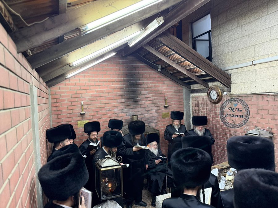 בני האדמו"ר נושאים תפילה | מקור: משה ויסברג