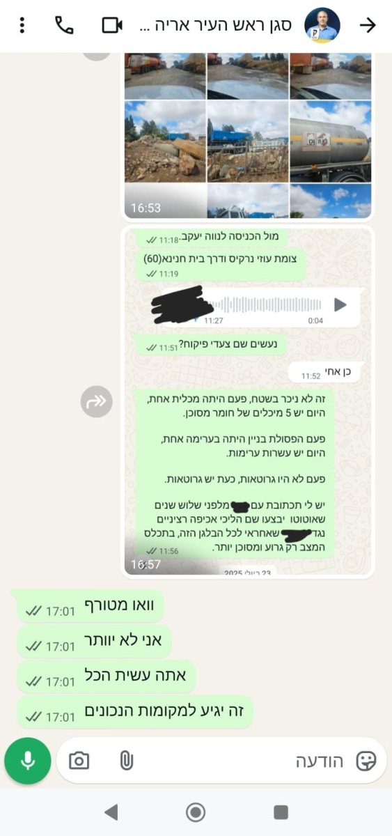 אריה קינג