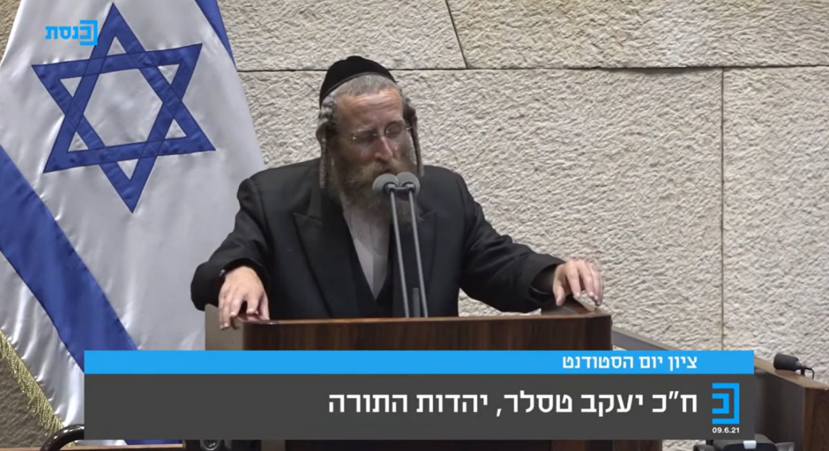 ח"כ טסלר - השוויגער נפטרה | צילום מסך: אתר הכנסת