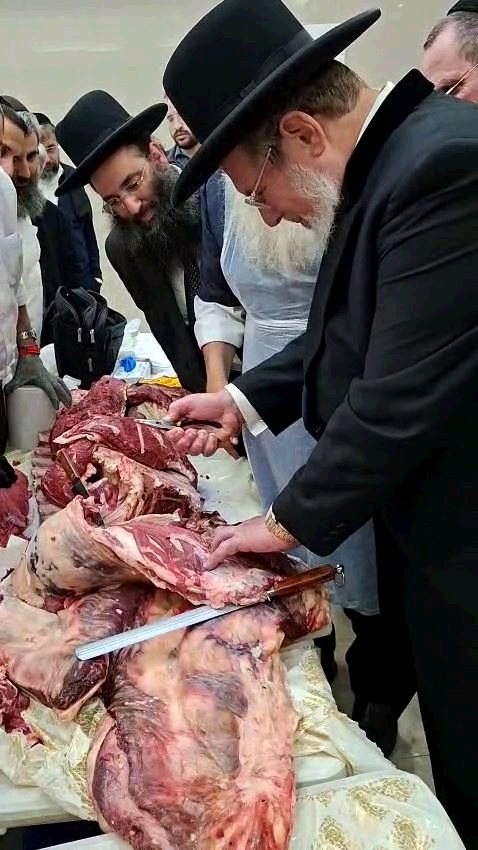 מפגש מנקרים. מ' מיכאלי