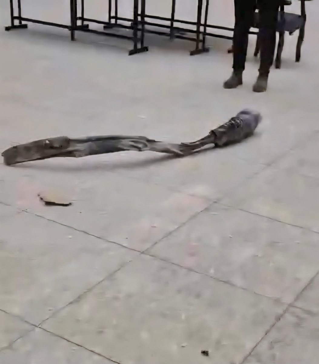 הרסיס הענק | שימוש לפי סעיף 27א