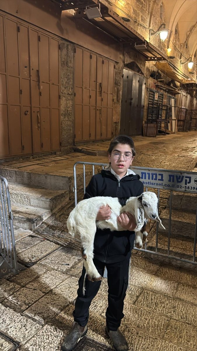 הילד עם הגדי | חוזרים להר