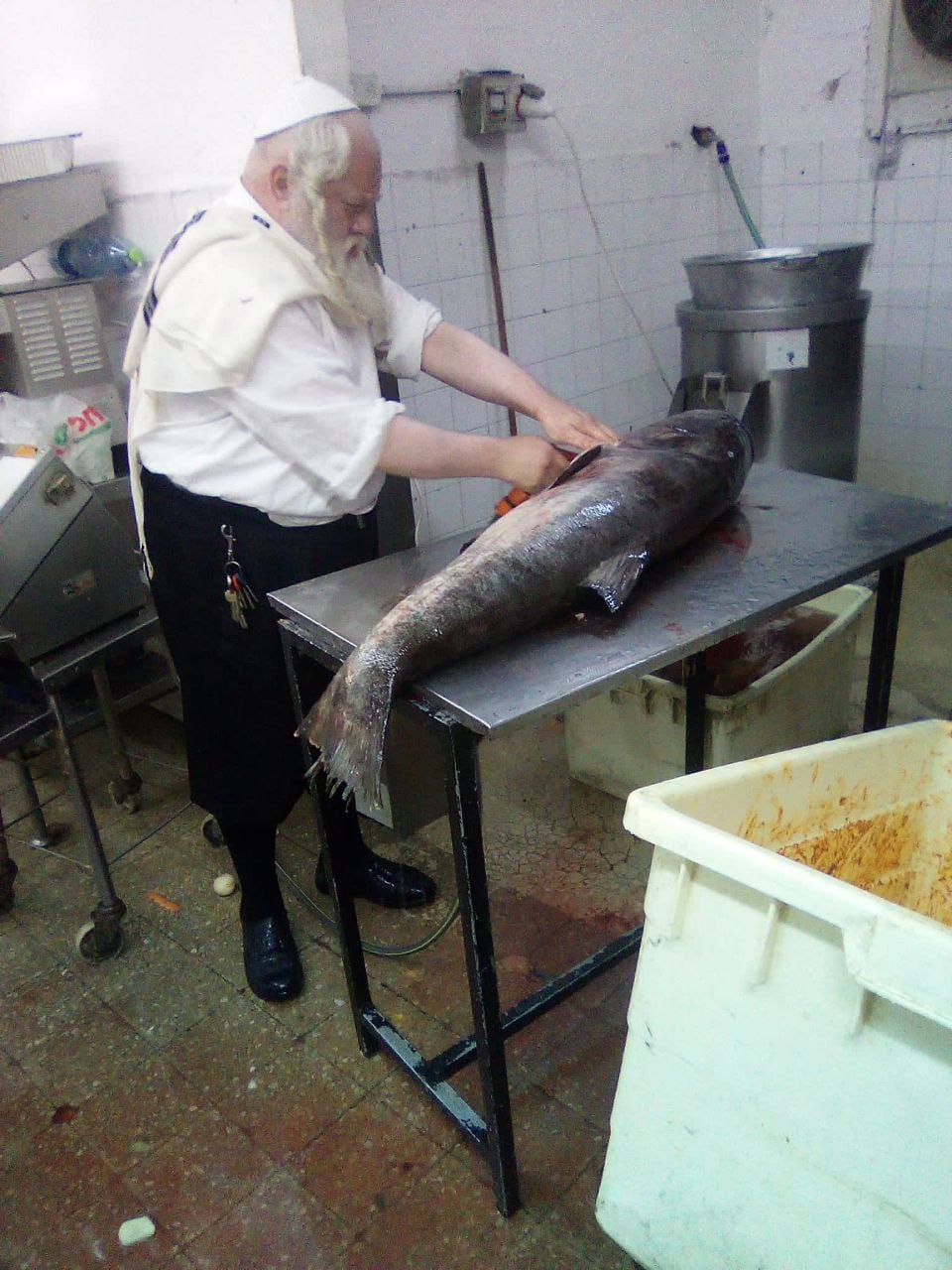 הדג הענק | ירושלמים אונליין