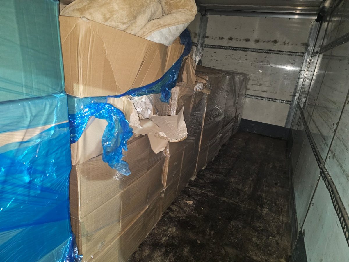 חלק מן הביצים המזוייפות | משרד החקלאות