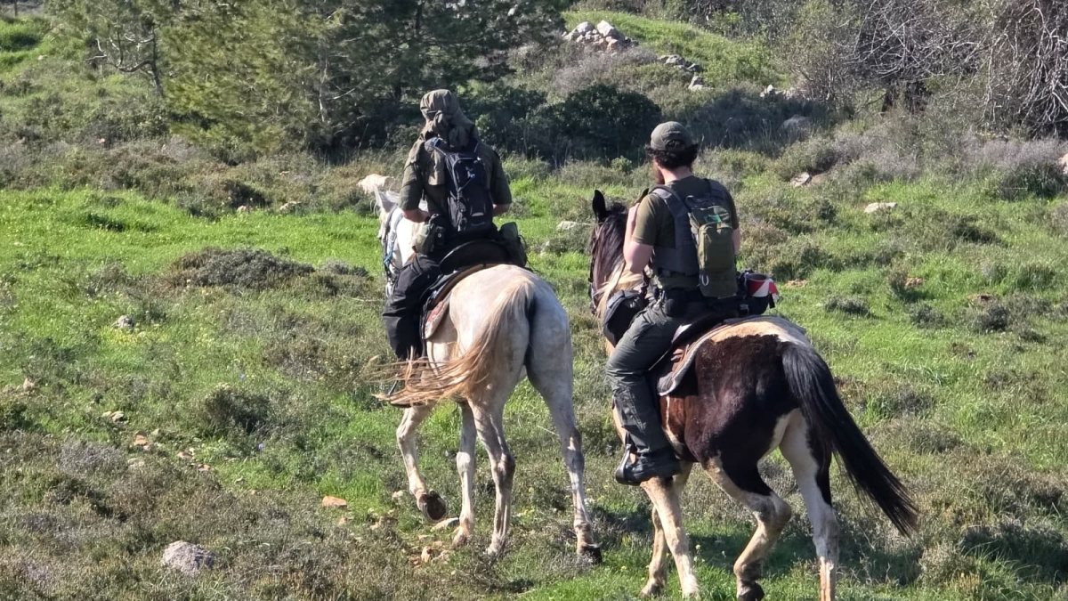 החיפושים אחר הנעדרת | יכ"ל