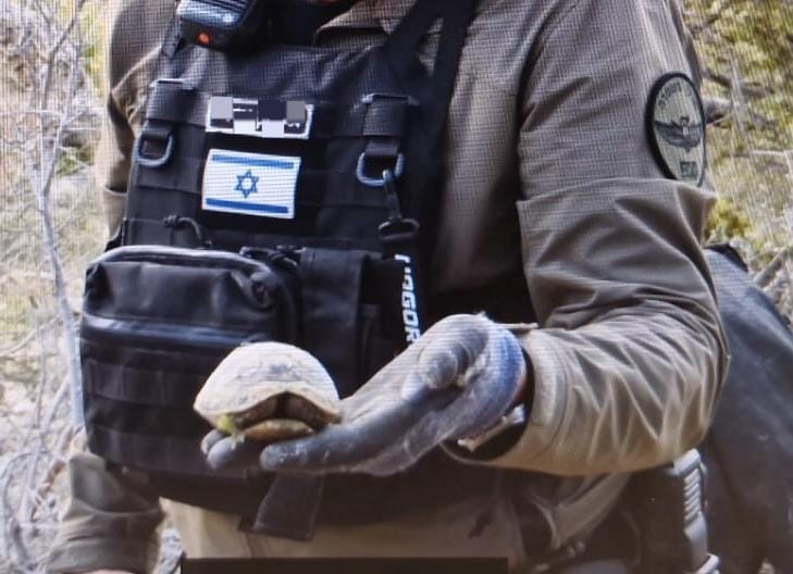 צב השעה | דוברות המשטרה