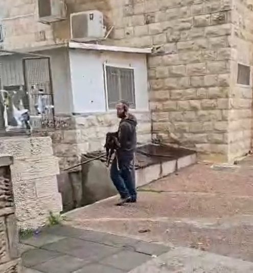 עם הגדי בדרך להר הבית | חוזרים להר