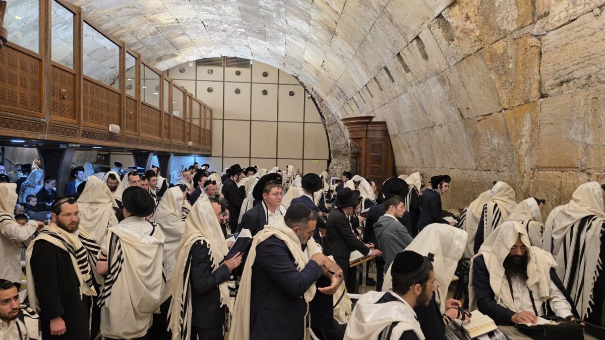 יהודים בכותל אחרי הסרת ההגבלות | הקרן למורשת הכותל