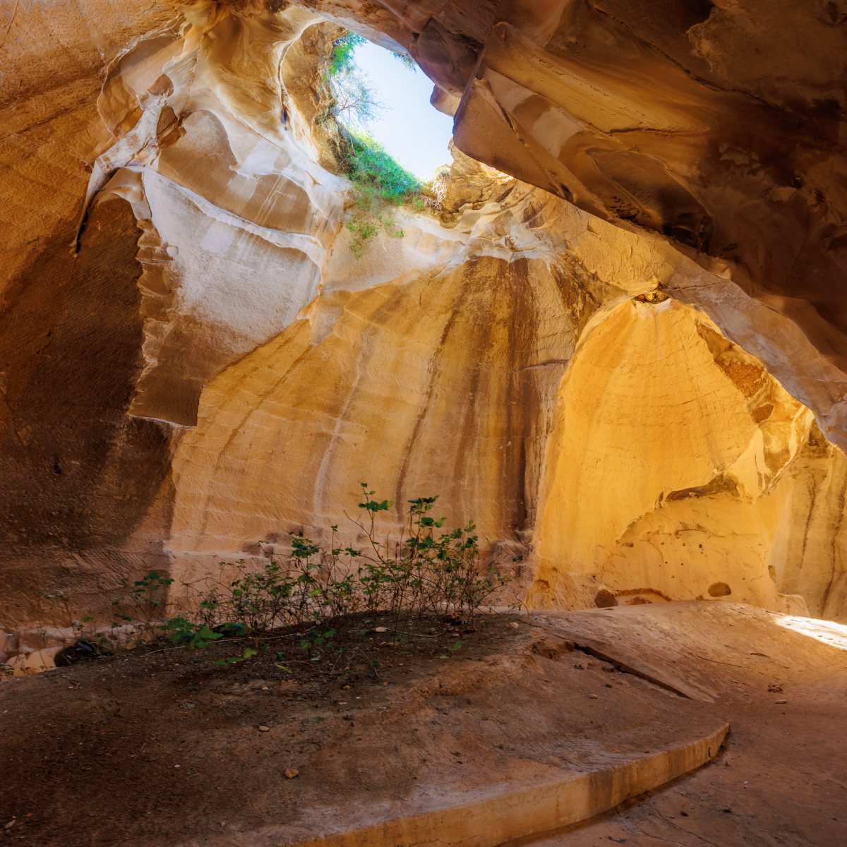 בית גוברין - מיכאל פרוסקלוב מתנדב רשות הטבע והגנים