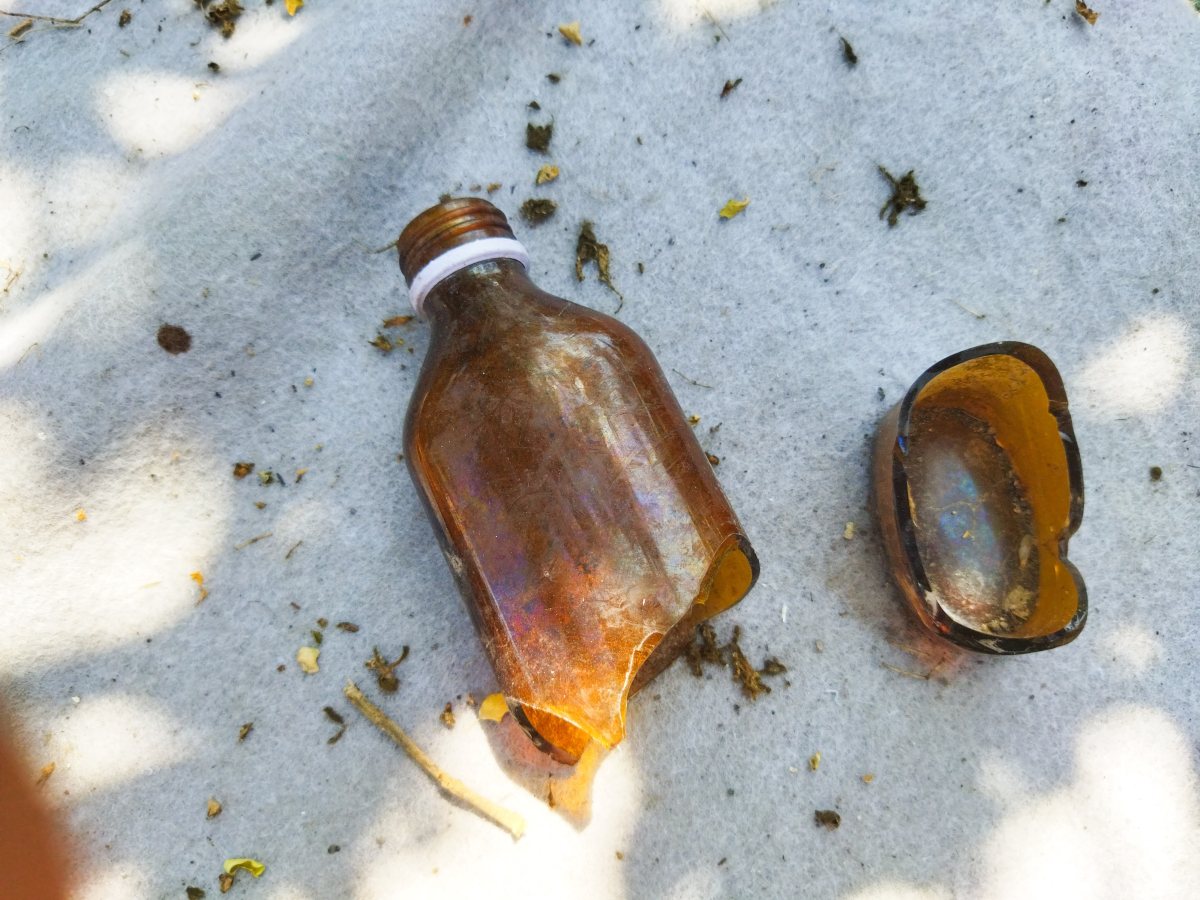 אילוסטרציה shutterstock