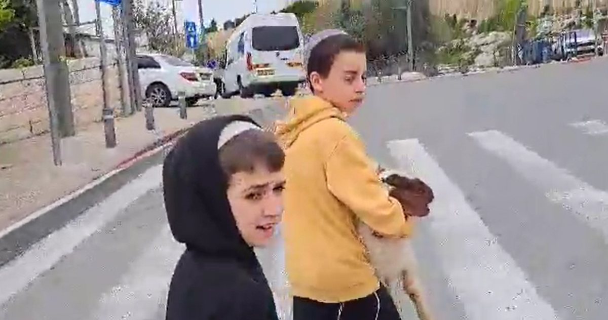 בנו של סגל עם הגדי | ארנון סגל