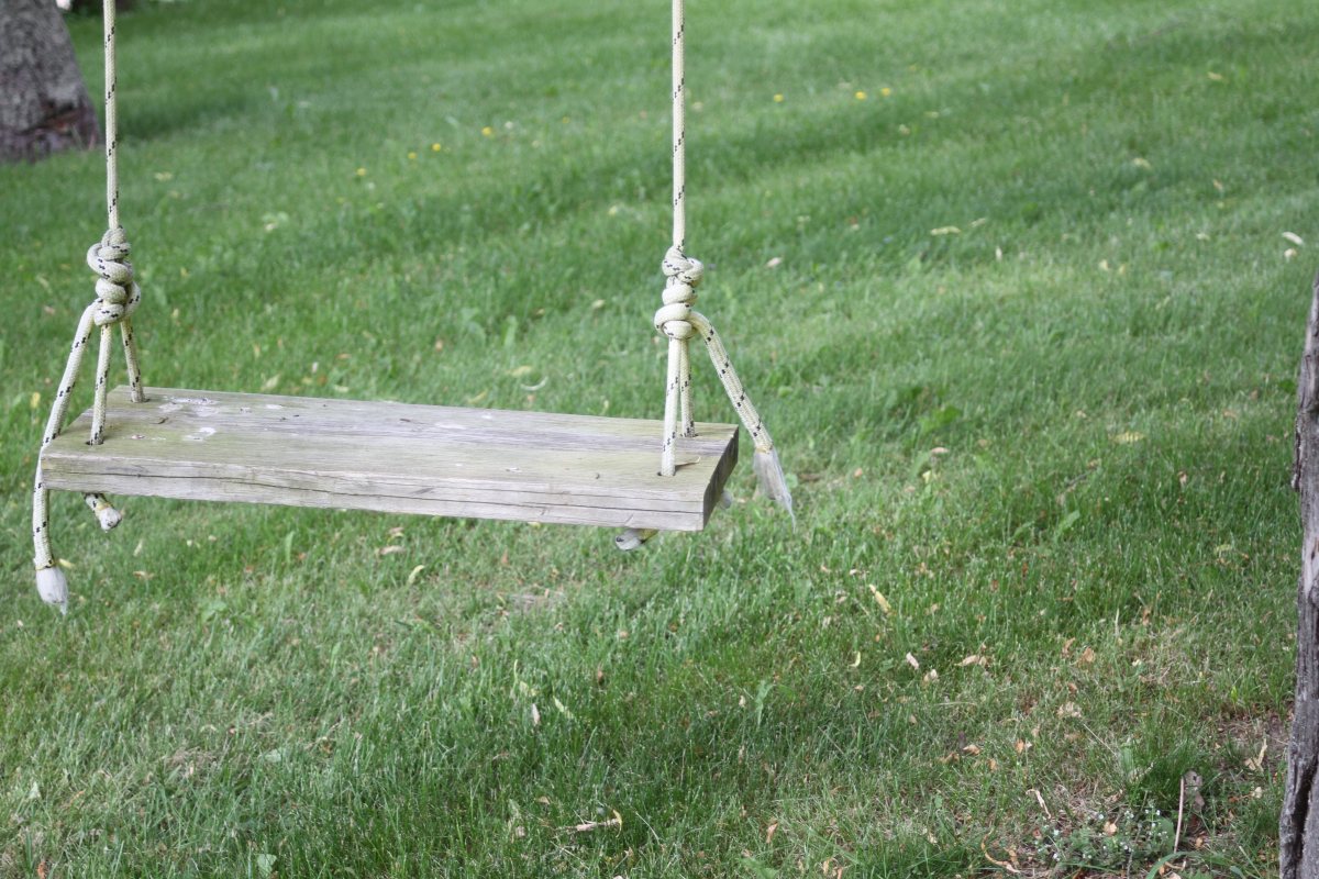 האסון בחצר הבית | אילוסטרציה shutterstock