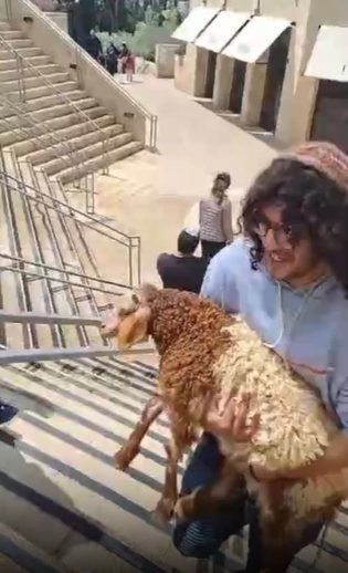 ניסיון הקרבת קרבן בפעם הקודמת | ארכיון 