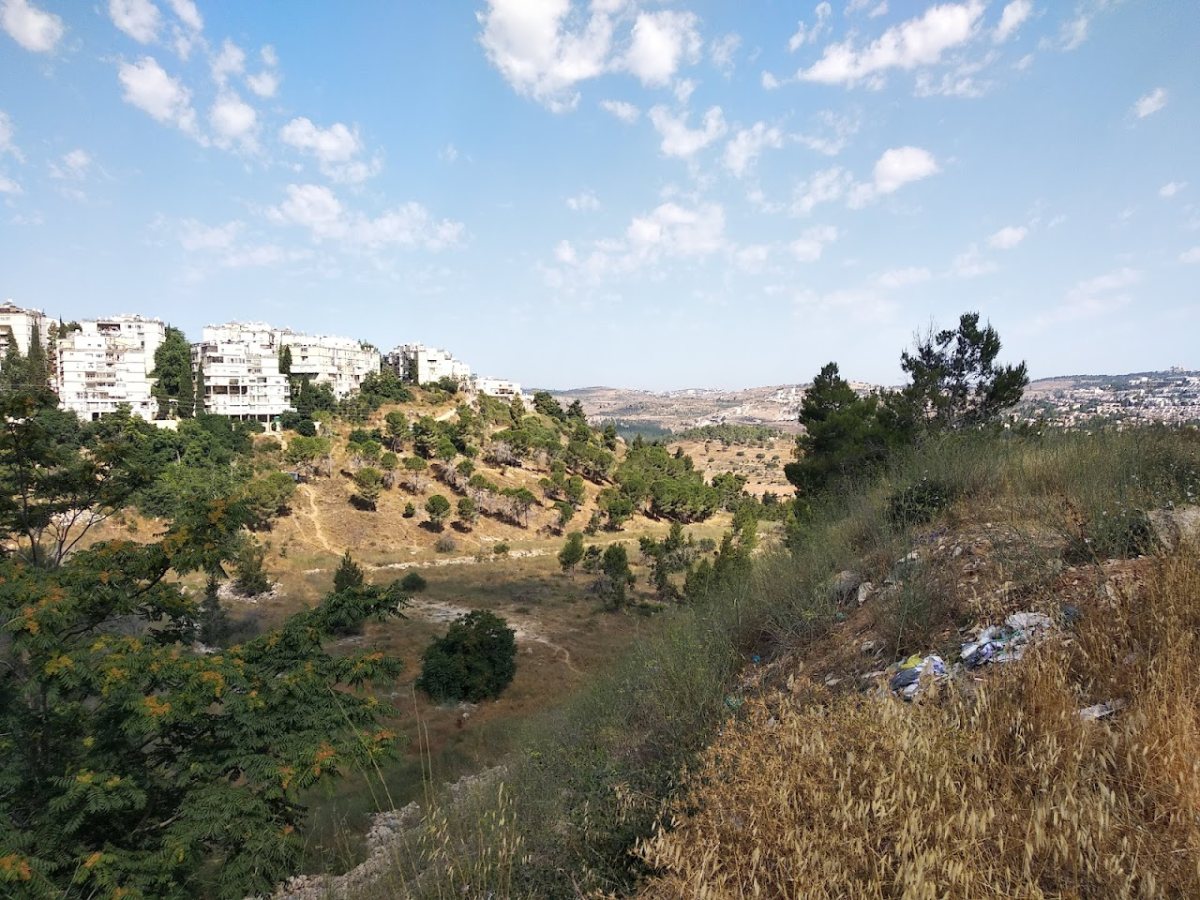 הוואדי בנחל רוממה | צילום: יהונתן היימן