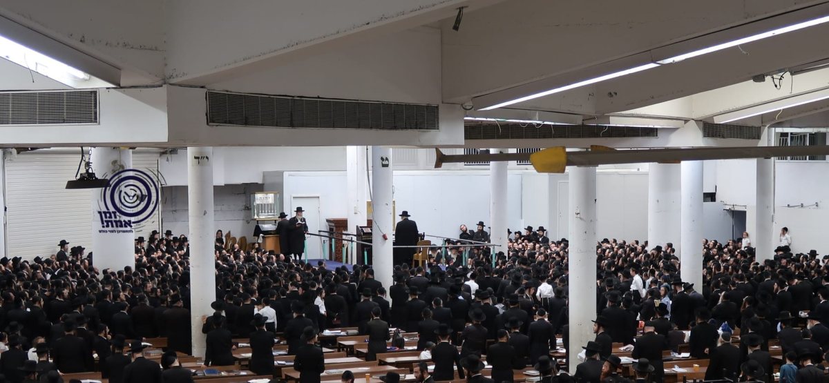 האדמו"ר מגור בתפילת מנחה בבית המדרש הישן | מקור: זמן אמת