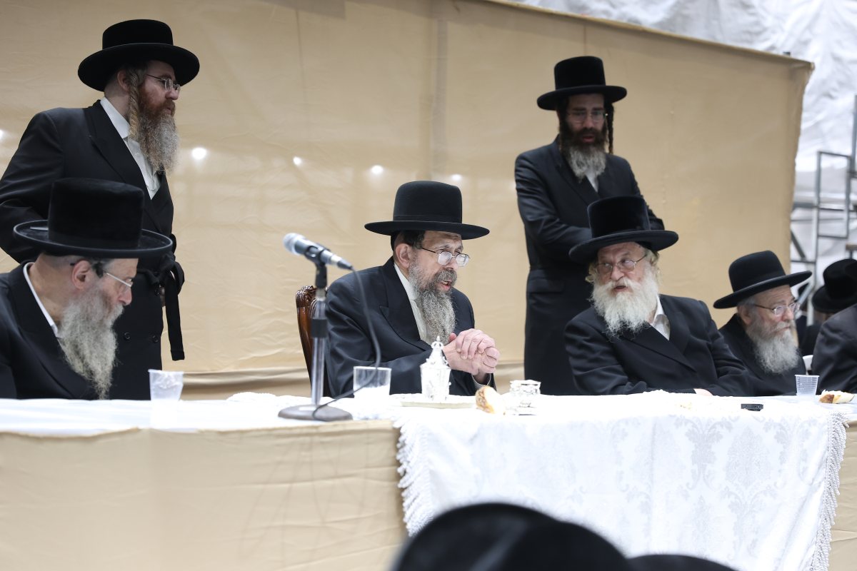 צילום יהודה וייס